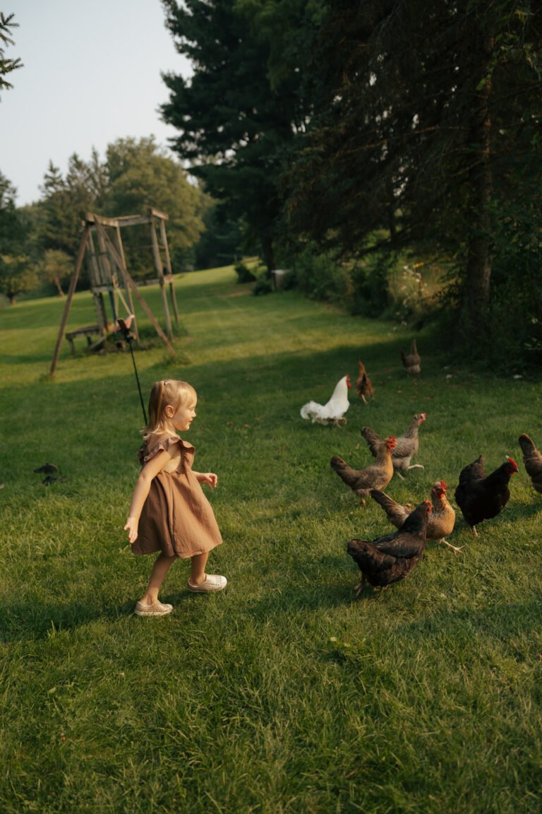 Traditional Irish Stew