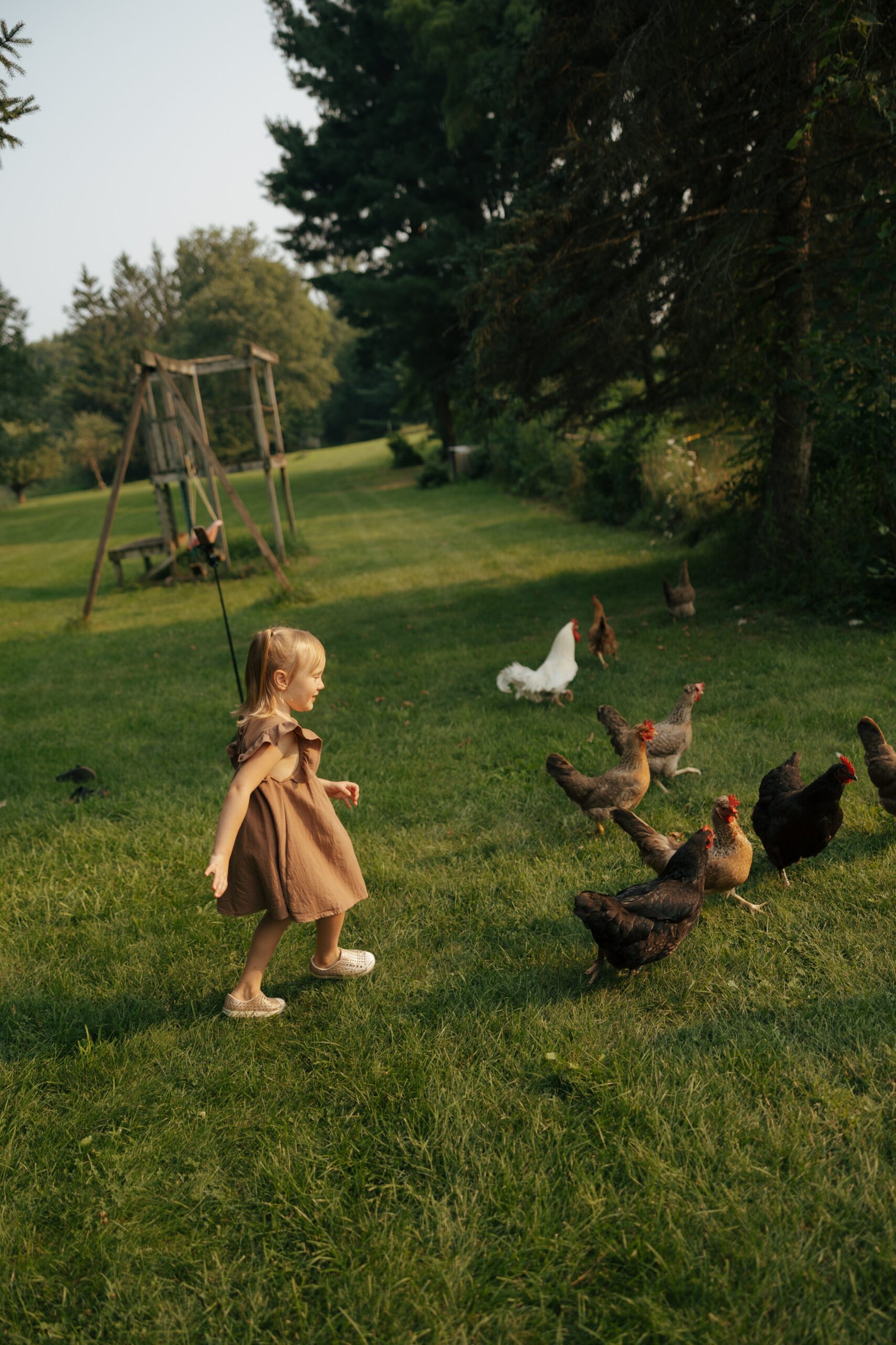 Traditional Irish Stew