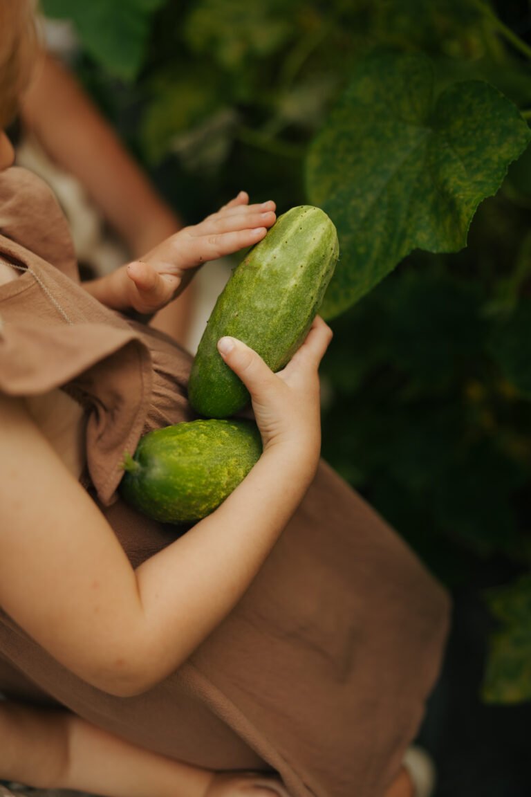 High Protein Cottage Cheese Cucumber Salad