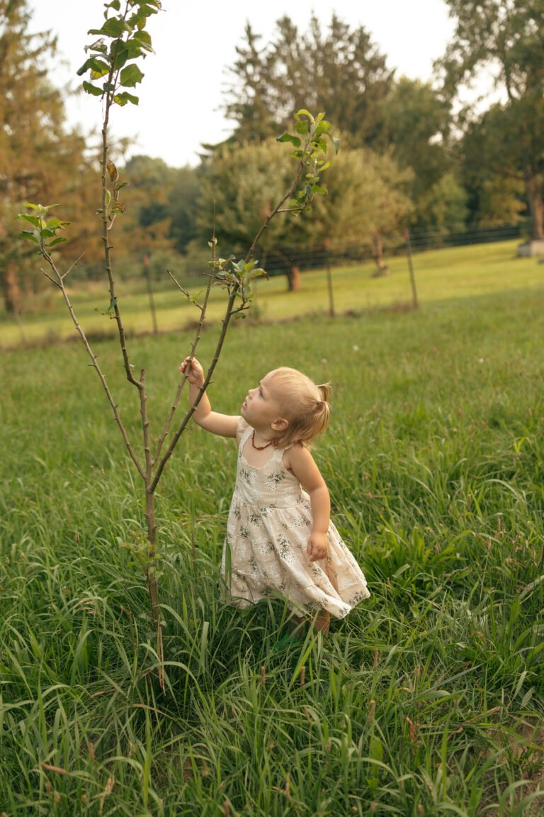 Fermented Honey Garlic