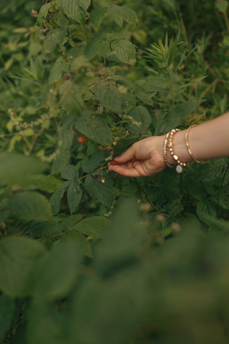 From ER Nurse to Realistically Holistic Mom: My Journey Into Natural Living