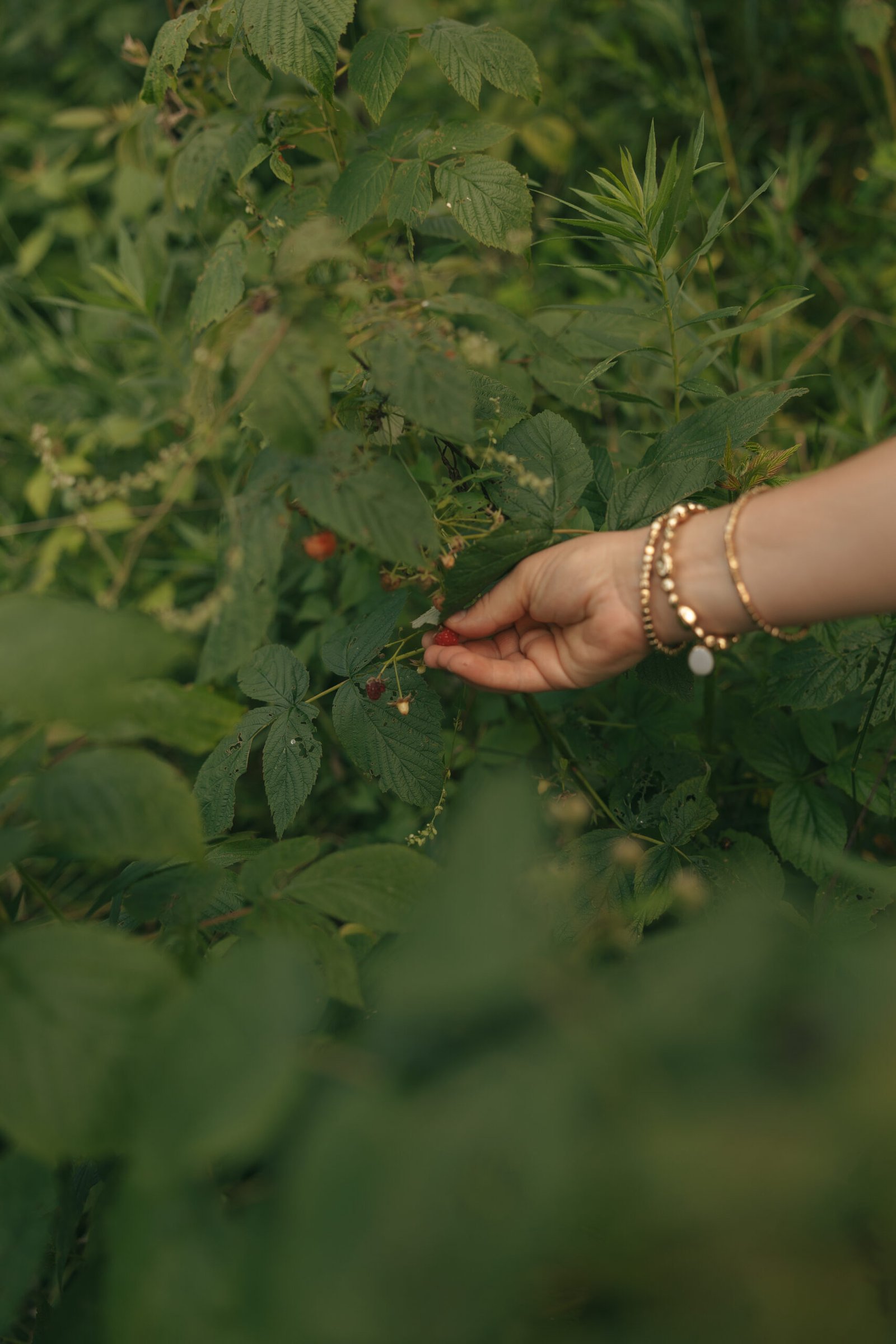 From ER Nurse to Realistically Holistic Mom: My Journey Into Natural Living