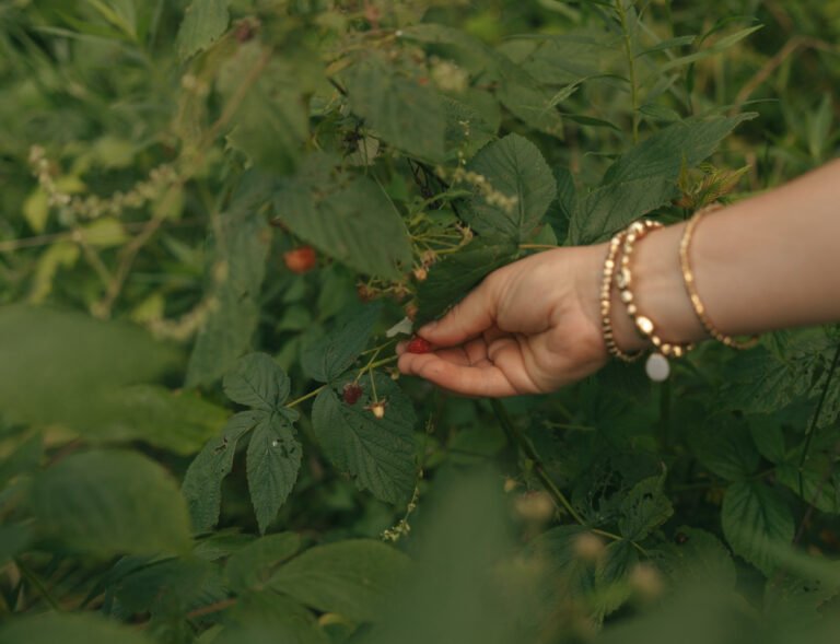 Flu Tea – An Herbal Blend for the Whole Family (For Flu, Stomach Flu, Diarrhea, etc!)